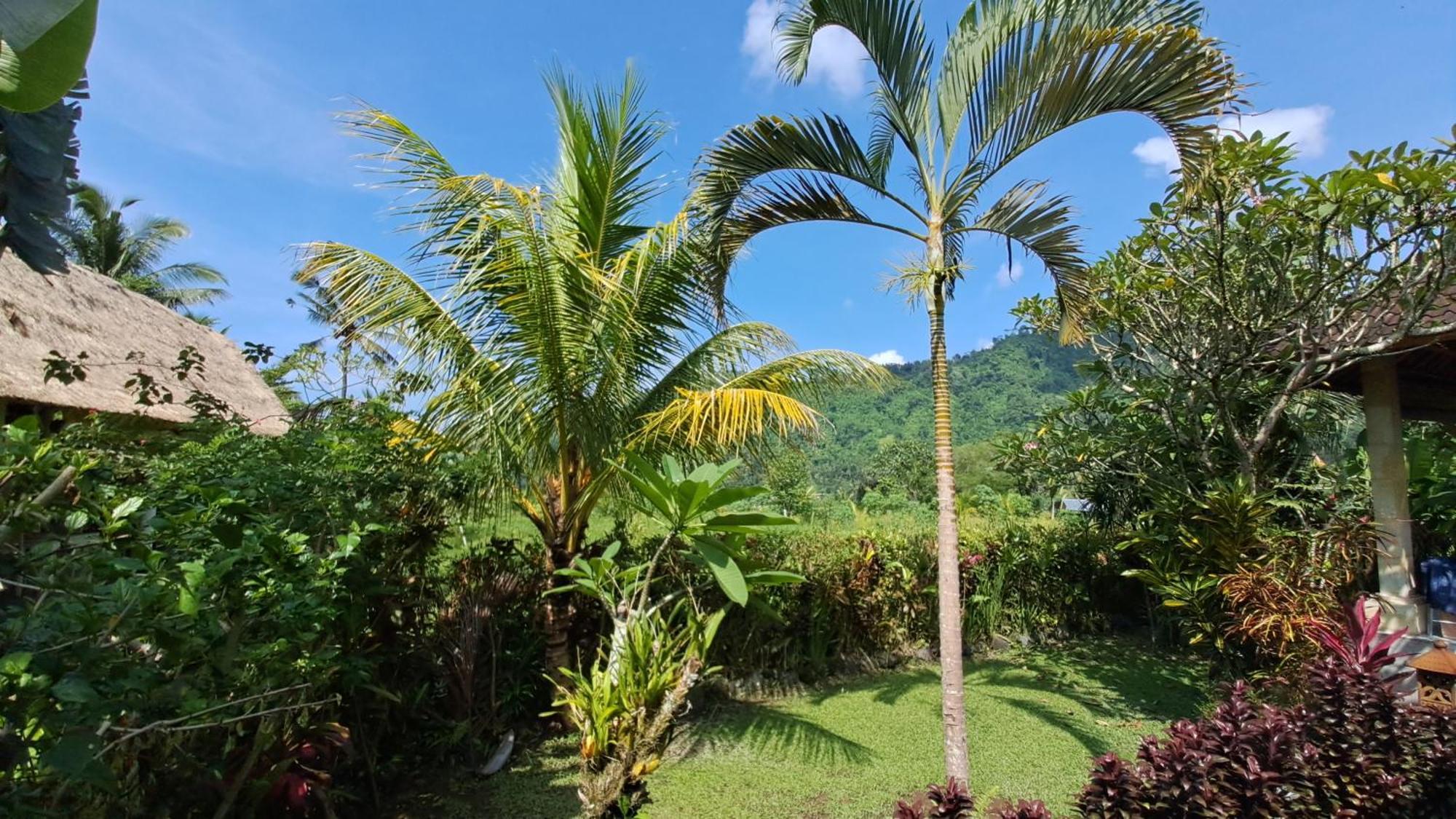 The Bukit Artha Bed & Breakfast Karangasem  Exterior photo