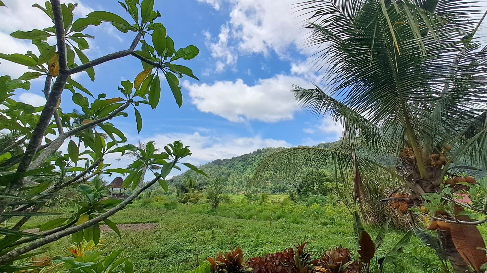 The Bukit Artha Bed & Breakfast Karangasem  Exterior photo